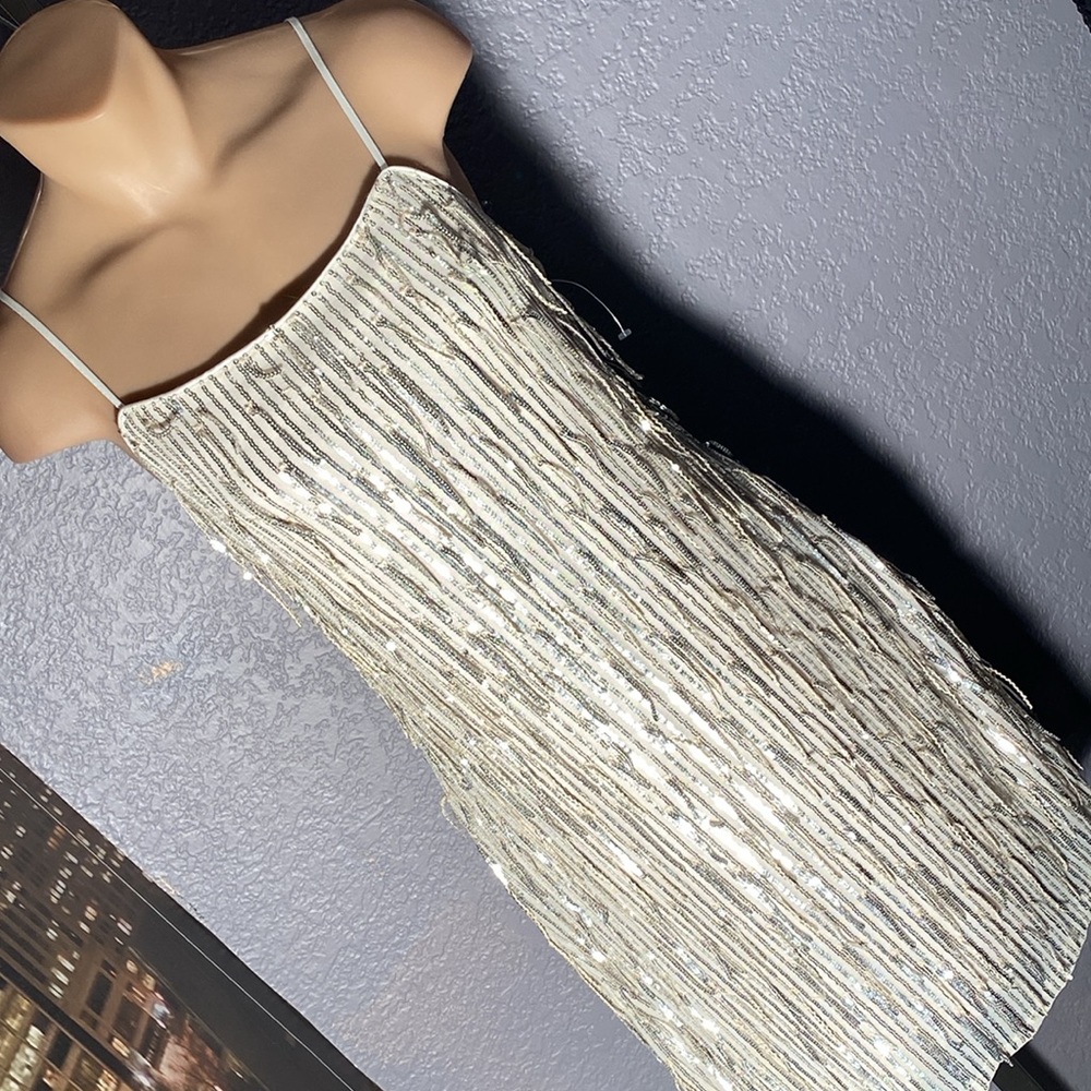 ALTAR’D STATE - dress: silver mesh w allover sequin fringe, lined w zipper - XL